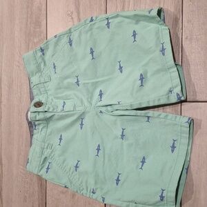 🦔Cat & Jack Aqua and Denim Shorts💘